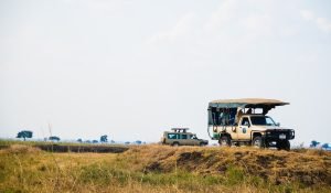 Ranthambore - Delhi (380 km / 7 hrs)