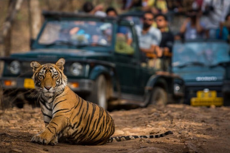Golden Triangle Tour with Ranthambore & Udaipur