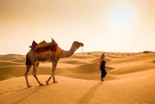 Golden Triangle Tour with Jodhpur & Jaisalmer