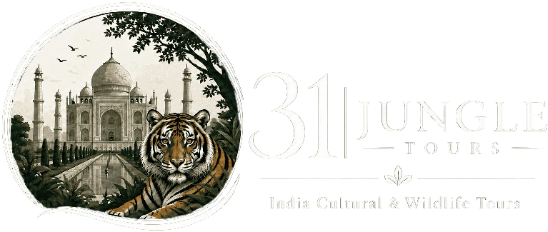 31 Jungles Tours