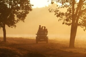 Kanha Safari & Transfer to Bandhavgarh