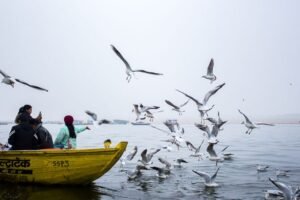 Varanasi Sunrise Boat Ride, City Sightseeing & Ganga Aarti