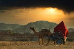 Pushkar to Delhi & Departure