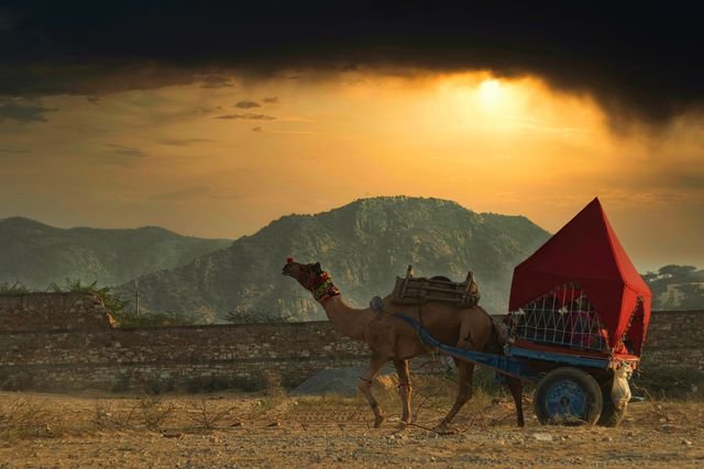 Golden Triangle with pushkar